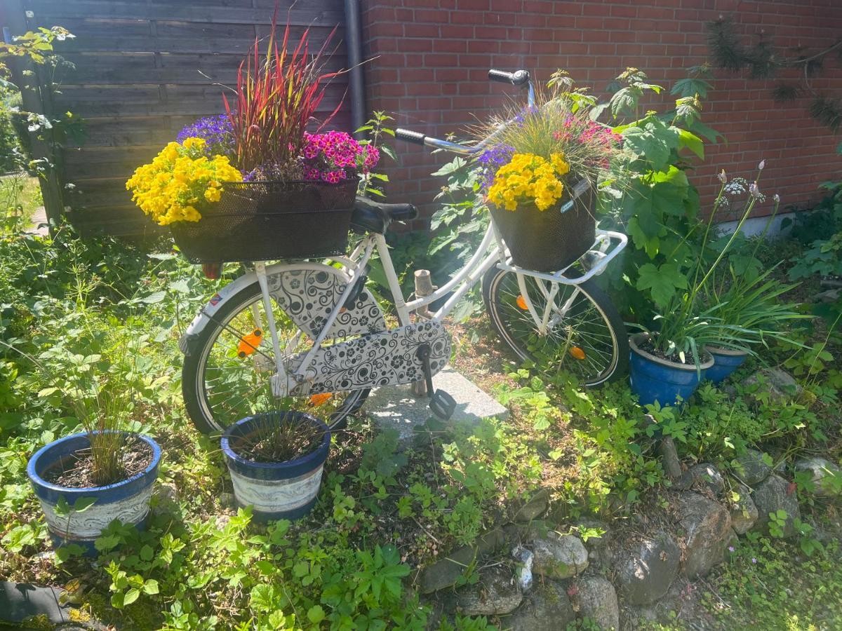 Segelund - Zeit Fuer Uns- Ruhige Und Sonnige Ferienwohnung Mit Terrasse Und Garten Nahe Strand Und Ostsee Schönhagen Exterior foto